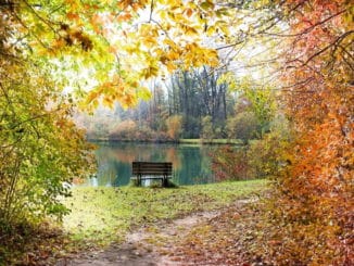aalangeln_am_see