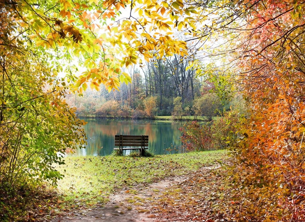 aalangeln_am_see