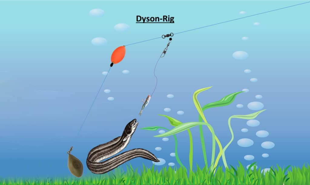 dyson-rig-aalangeln