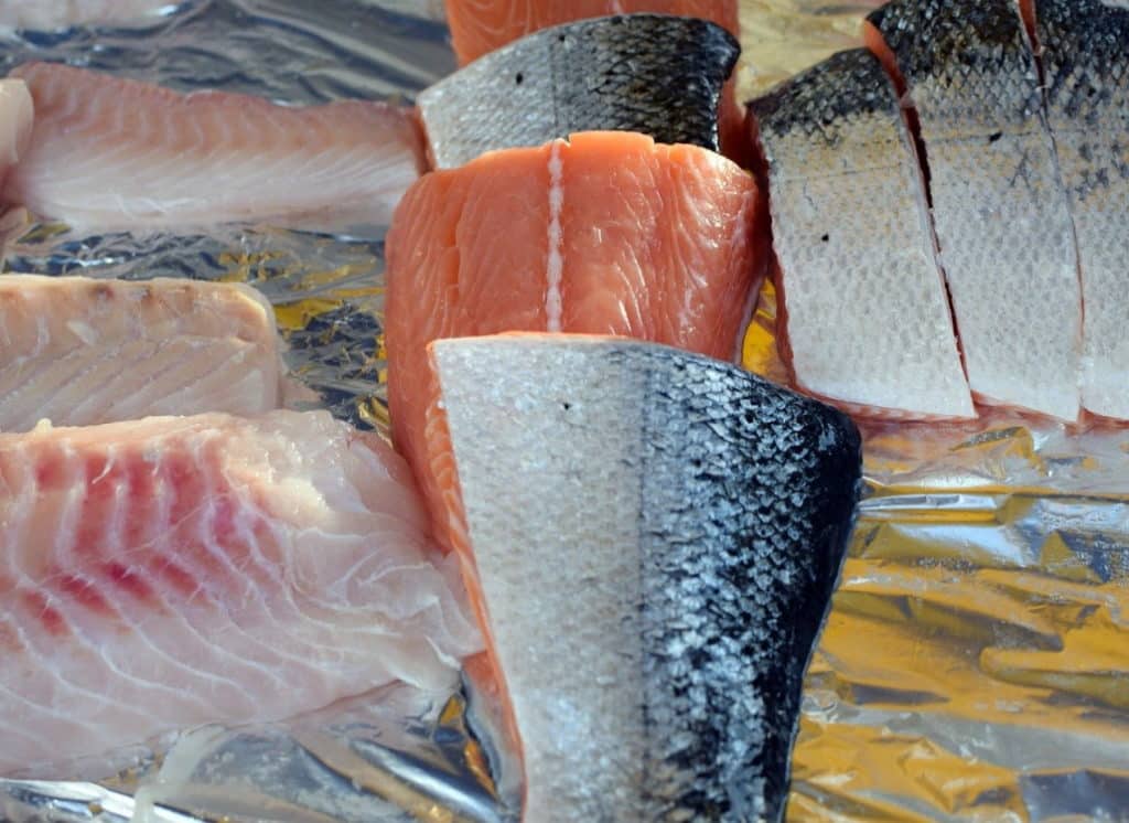 fischfetzen_als_aalkoeder
