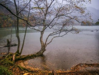 sommerregen_super_aalfangzeit