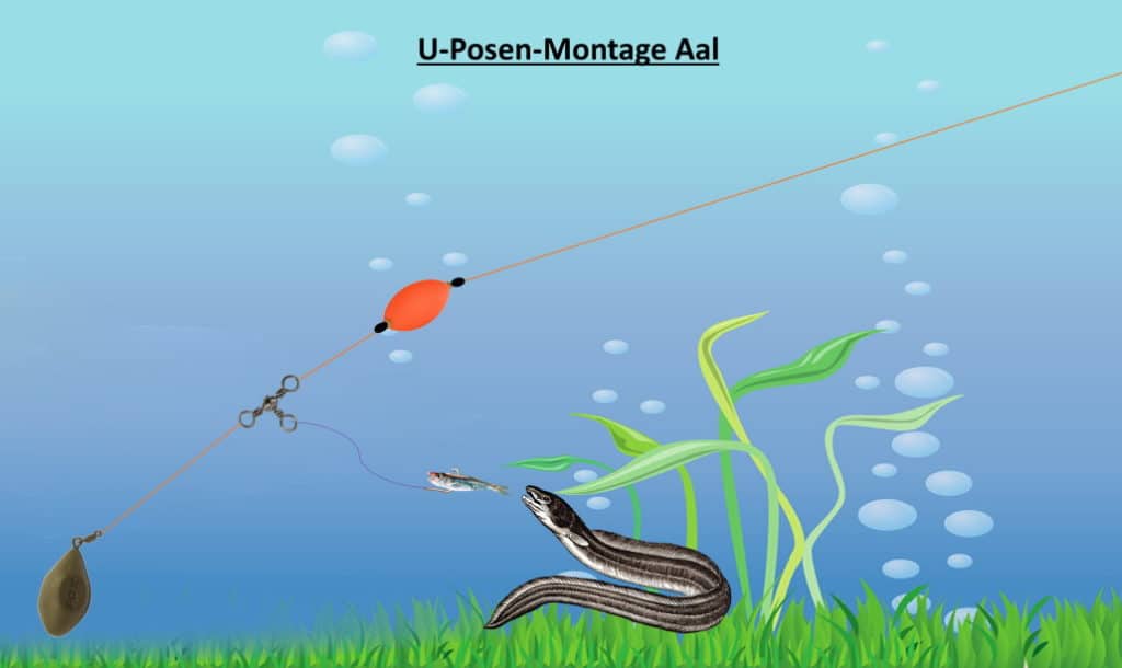 u-posenmontage_aal